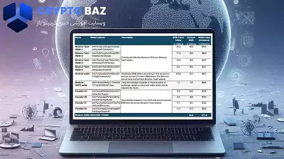 نگرانی هایی زیادی در مورد مالکیت توکن BNB ایجاد شده است