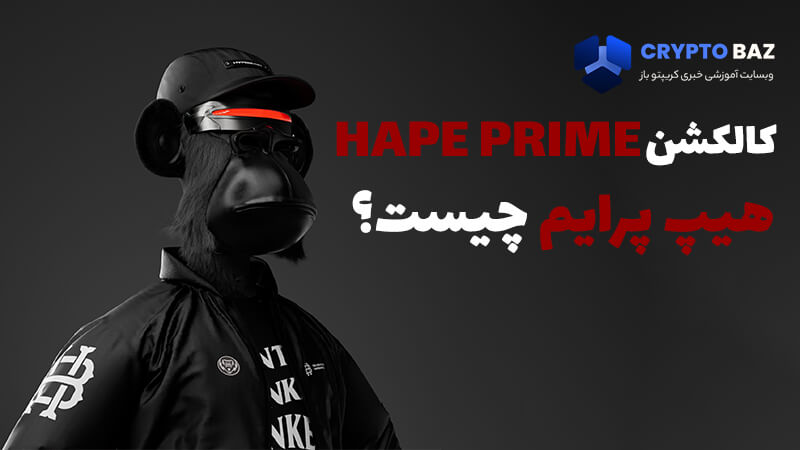 کالکشن هیپ پرایم چیست؟ hapeprime