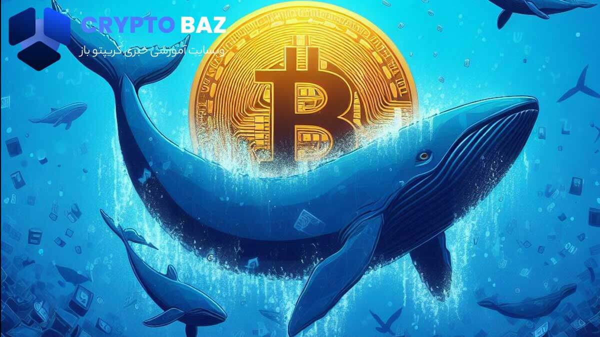 معرفی برترین نهنگ های بیت کوین