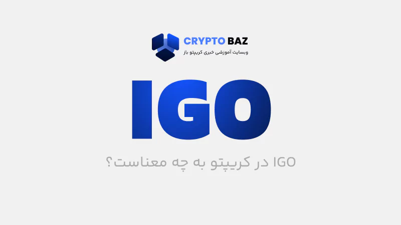 IGO به چه معناست؟